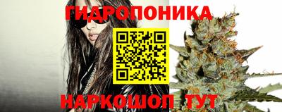 прущая мука Гатчина