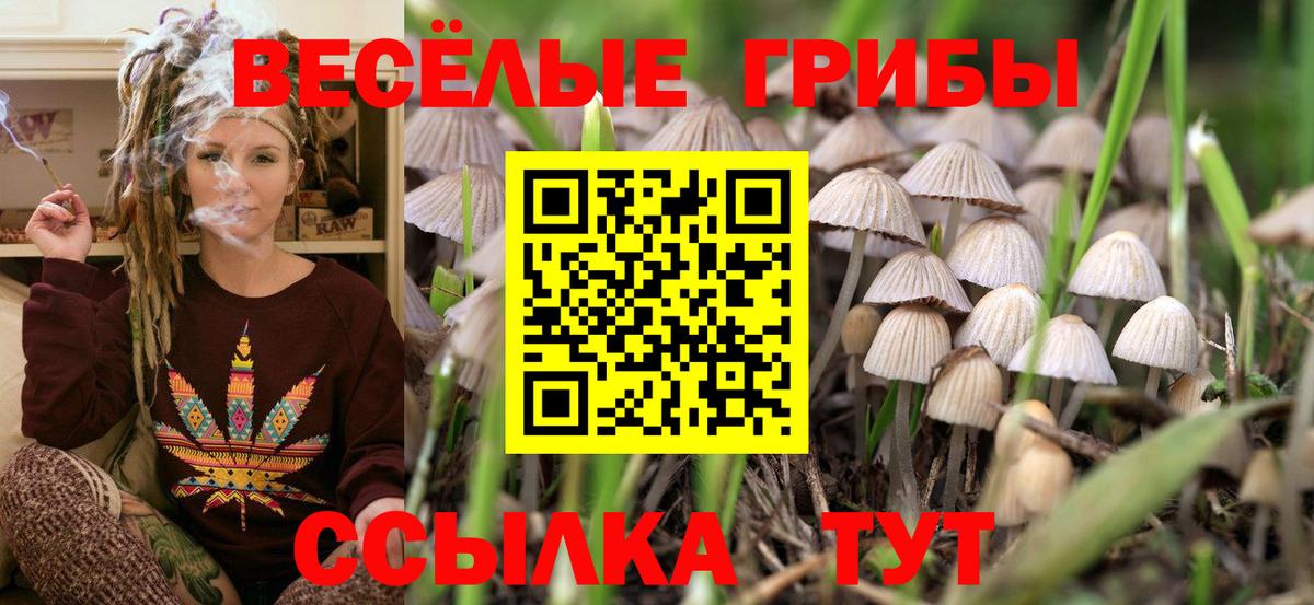 Галлюциногенные грибы мицелий Нерюнгри