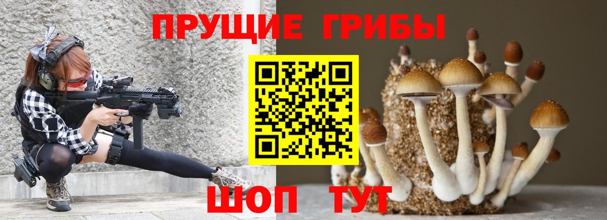 Псилоцибиновые грибы MAGIC MUSHROOMS  Псилоцибиновые грибы Psilocybe  Нерюнгри  Вход с VPN 